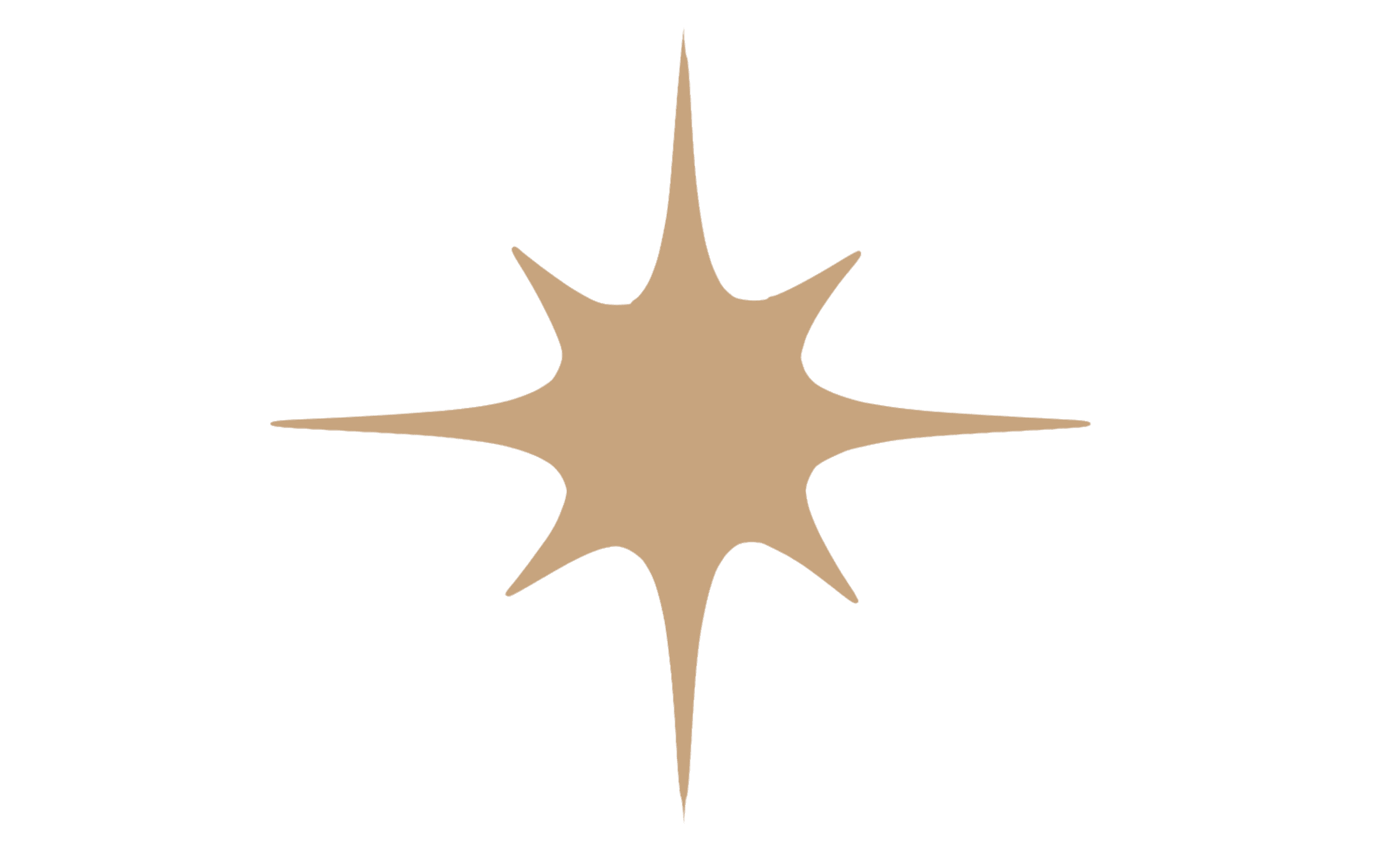 Wizarus Pattern